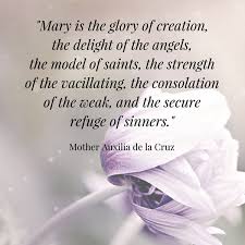 15-beautiful-quotes-to-help-you-get-to-know-mary-better-1904