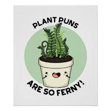 They are bright, desired, pleasantly smell. Plant Puns Are So Ferny Cute Fern Pun Poster Zazzle Com Plant Puns Funny Plant Plant Quotes