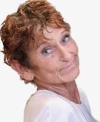 Sally J. Carrell Obituary (2024)