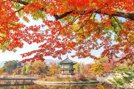Autumn is the time when most tourists traveling to korea in the year. Fall Foliage Forecast Korea 2019 16 Best Place To See Autumn Leaves In Korea Living Nomads Travel Tips Guides News Information