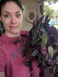 Anyone know the most successful way to propagate this golden pothos vine 🙃