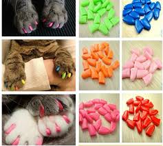 2019 Colorful Cats Dogs Kitten Paws Grooming Nail Claw Cap Adhesive Glue Soft Rubber Pet Nail Cover Paws Caps Pet Supplies From Qwonly_shop 0 87
