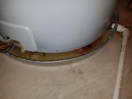 Plastic water heater drain pan model# 28pwhp $ 26 37 $ 26 37. Weird Yellow Goo Grit In My Water Heater Drain Pan Just Appeared A Few Days Ago Grit Looks Like Salt Crystals Other Than That Nothing Seems Wrong Water Is Fine Nothing On The