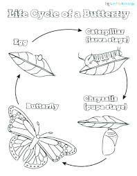 Plus, it's an easy way to celebrate each season or special holidays. Related Image Butterfly Life Cycle Butterfly Coloring Page Life Cycles