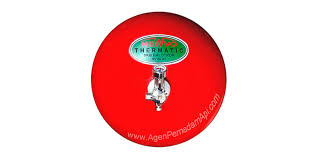 Pembaharuan kartu apar juga tidak boleh ketinggalan dan bisa dibantu dengan aplikasi firecek. Berbagai Jenis Alat Pemadam Kebakaran Dan Fungsinya Agen Pemadam Api