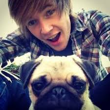 19 Ellie the pug ideas