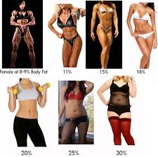 Female figures are typically narrower at the waist than at the bust and hips. Pin On Ckd