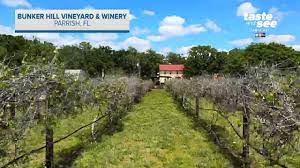 Apartments.com has the most extensive inventory of any apartment search site, with over 149 thousand currently available apartments for rent. Giant Adventure Bunker Hill Vineyard Winery