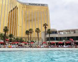 But before you give a contractor the go ahead, there are a few key questions to ask yourself and your builder. Mandalay Bay Las Vegas Pool An Honest Review California Family Travel