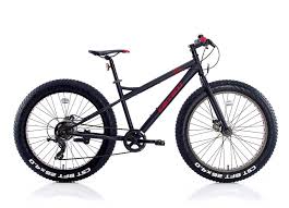 Mountain Bikes Panosundaki Pin
