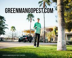 Pet friendly, guaranteed pest control in phoenix, az. Top 5 Pest Control Companies In The East Valley Home Loan Sun American Mortgage Arizona Utah California