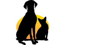 Maybe you would like to learn more about one of these? Pet Wellness Clinic Veterinarian In Indianapolis Fishers Geist Westfield Noblesville And Zionsville Animal Clinic