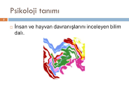Psikolojiye Giris Ppt Indir