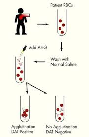 16 Best Blood Bank Images Medical Laboratory Science