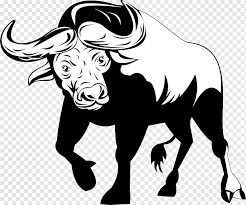 Gambar di atas merupakan gambar kartun lucu hitam putih, di dalam gambar tersebut terdapat gambar kartun helllo kiti yang tidak ada warnanya. Ilustrasi Kerbau Afrika Kandang Sapi Jane Kuda Mamalia Sapi Png Pngwing
