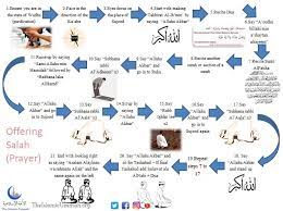 Below table gives clear view about number of rakats offered in each prayer daily in islamic. Dost Khan On Twitter 1 Day Of Namaz 17 Rakat 1 Week 119 Rakaa 1 Month 510 Rakat 1 Year 6205 Rakat Now Imagine Missing Them May Allah Almighty Protect Us Namaz Https T Co Vxvoczssqq