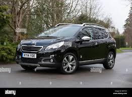 Image result for Makaha 2014 Peugeot