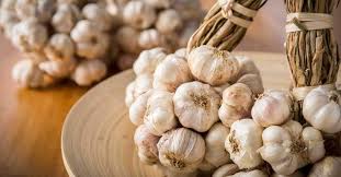 One, they keep longer in storage than hard neck. How To Plant Grow And Harvest Garlic