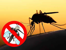 Peppermint oil and coconut oil. 5 Mosquito Repellent Apps That Can Save You From Dengue Zika And Chikungunya Gizbot News