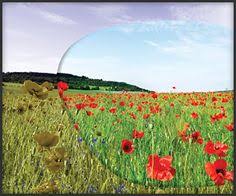 If you are not suffering from a color vision deficiency it is very hard to imagine how it looks like to be colorblind. 9 Red Green Colorblind Ideas Color Blind Red Green Color Vision