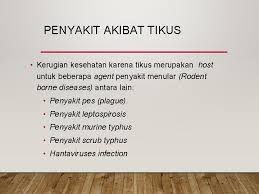 Kawalan penyakit berjangkit bahagian kesihatan awam jabatan kesihatan negeri sabah tingkat 1, rumah persekutuan penyakit bawaan makanan dan air. Vektor Penyakit Dan Binatang Pengganggu Pengertian Vektor Salah