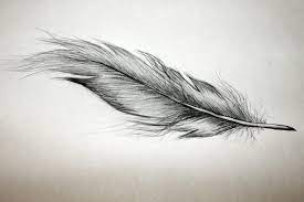 Es kommt in verschiedenen stilen und designs vor und hat eine bedeutung, die meistens den charakter des vogels entspricht, den es repräsentiert. Feder Tattoo Bedeutung Und Vorlagen Tattoos Zenideen Feather Tattoo Meaning Feather Tattoo Feather Tattoo Design
