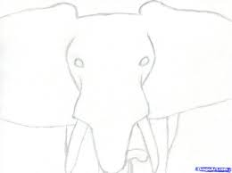 Moving on to the hind legs, use the shape of the elephant's body to guide your drawing. How To Draw Elephant Face Easy Drawing For Kids