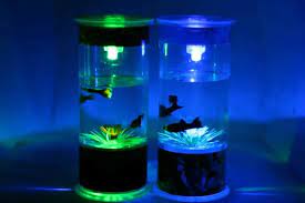 Ready stokcocok untuk hiasan kantor, kamar tidur,ruang tamusatu set ya !!dapat aquarium,hiasan,lampu,selang dan oksigeninfo pesan sms wa:085697200936. Jual Aquarium Mini Portabel Murah Di Lapak Ab Collection Bukalapak