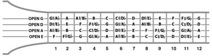 bass guitar chords for beginners lamasa jasonkellyphoto co