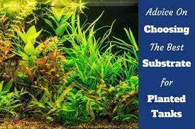 7 Best Substrates For Planted Tanks In 2021 Reviews Top Picks It S A Fish Thing Substrate Best Tank