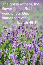 Image result for images bible ancient words