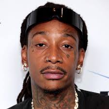 Watch The Culture High (2014) Full Movie Free Online