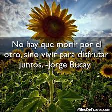 Pin En Frases