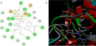 Image result for Striga baumannii
