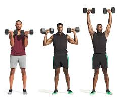 Image result for Shoulder Strength Exercises