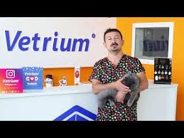 Kediler Neden Mirlar Youtube 2020 Kedi Youtube Veterinerler