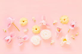 Pink wallpapers, backgrounds, images— best pink desktop wallpaper sort wallpapers by: Pastel Pink Flower Desktop Wallpapers Top Free Pastel Pink Flower Desktop Backgrounds Wallpaperaccess