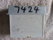 Image result for 6+1 mg7424/1 dimplex