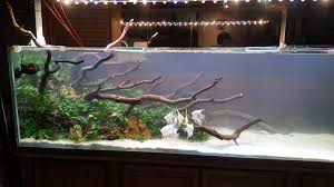 Maybe you would like to learn more about one of these? Designing Diy Led Lighting The Planted Tank Forum