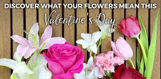 Maybe you would like to learn more about one of these? Valentine S Day Flowers And The Meaning Behind Them Ah Sam Floral Co