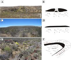 Volcanology and inflation structures of an extensive basaltic lava flow in  the Payenia Volcanic Province, extra-Andean back arc of Argentina