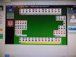 Bbo Ou Le Bridge Virtuel Aveyron Rodez Le Petit Journal