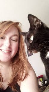 How to find a lost indoor cat in Luna Pier?