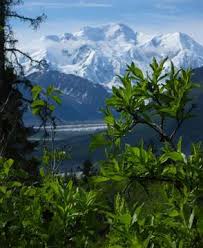 Maybe you would like to learn more about one of these? Wrangell St Elias National Park Info Kennicott Glacier Lodge