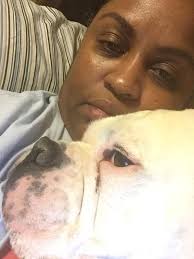 Boxer with growth and eye ulcer, cancer history