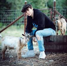 Pin By Madeline On Piperazzi In 2020 Instagram Story Squad Chill