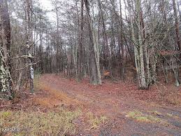 961 Lester Whitt Rd, Rutledge, TN 37861