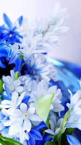 White Flower Background For Android Best Hd Wallpapers White Flower Background Flower Backgrounds Android Wallpaper Vintage
