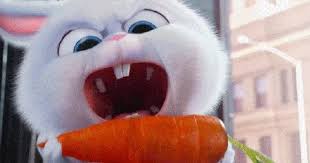animaciya krolik snezhok iz multfilma tajnaya zhizn domashnih zhivotnyh the secret life of pets 2016 obgryzaet morkovku domashnee zhivotnoe zhivotnye multfilmy