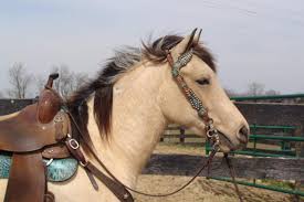 CONSIGNED "GENUINE DUSTY...